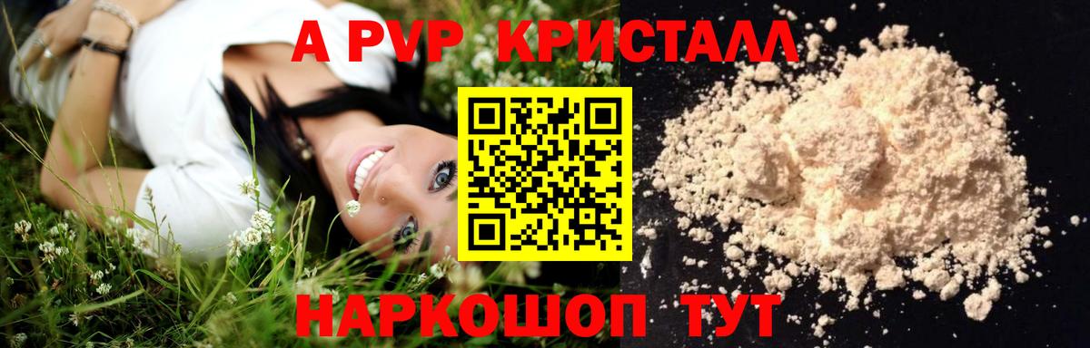 APVP СК  А ПВП СК КРИС  Вход с VPN  Буйнакск 