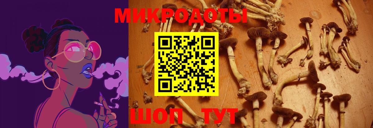Галлюциногенные грибы мухоморы Буйнакск