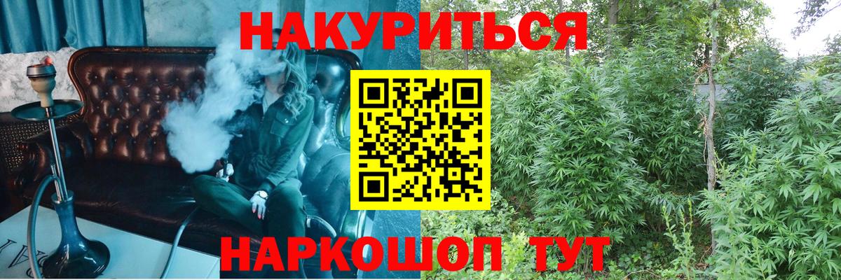 Каннабис индика  Конопля White Widow  Буйнакск  МАРИХУАНА планчик  Конопля White Widow  Вход с VPN 